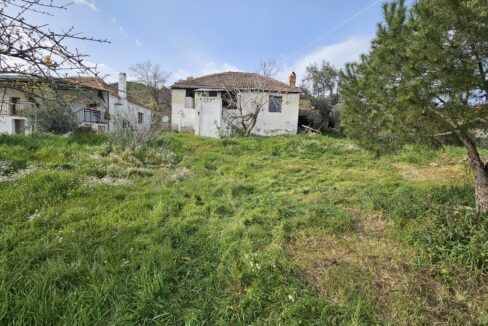 aydın karpuzluda satılık mustakil ev (2)