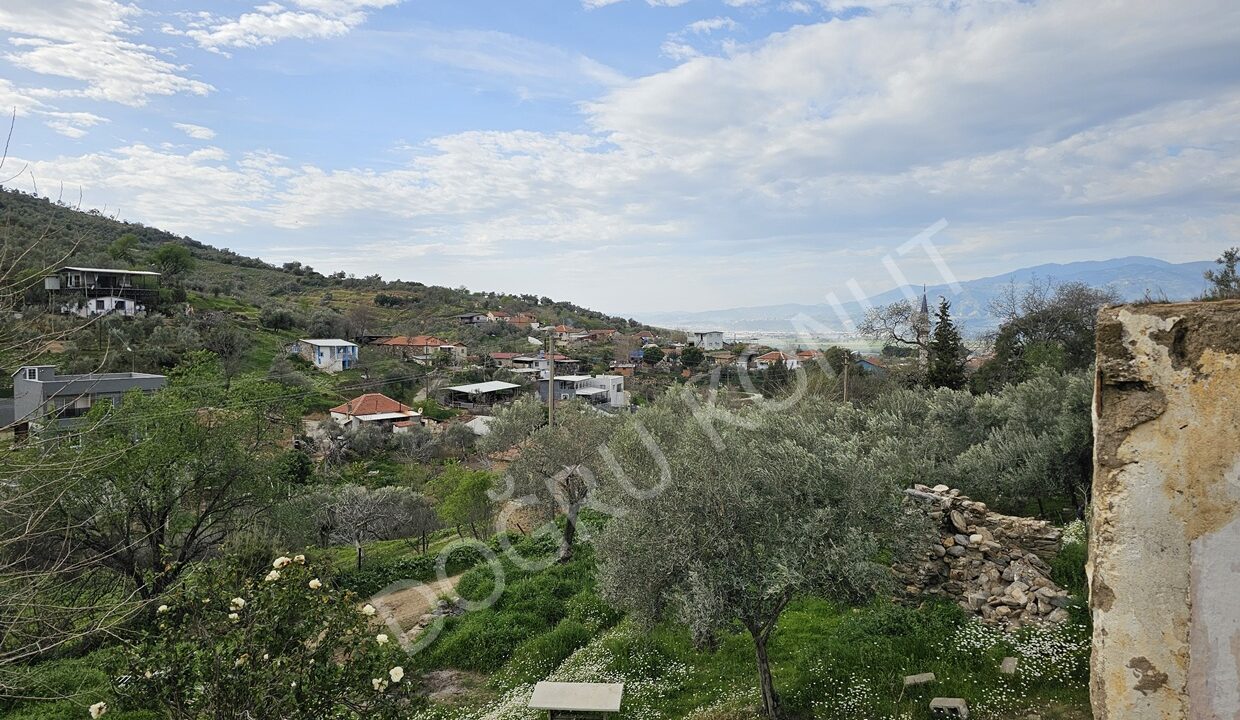 şahnalıda satılık arsa ev ve zeytinlik(2)